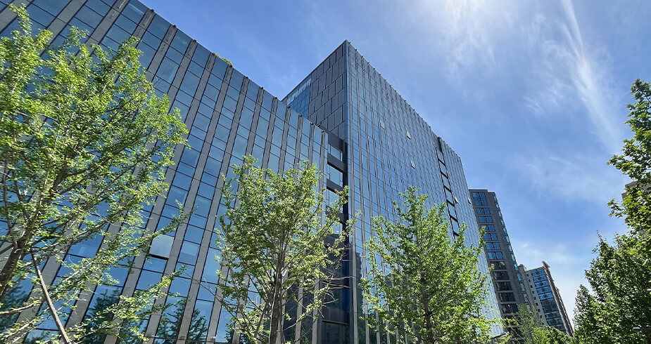 公司位置与布局